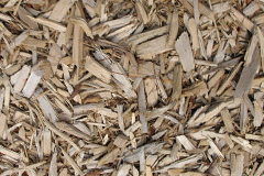 biomass boilers Woodkirk